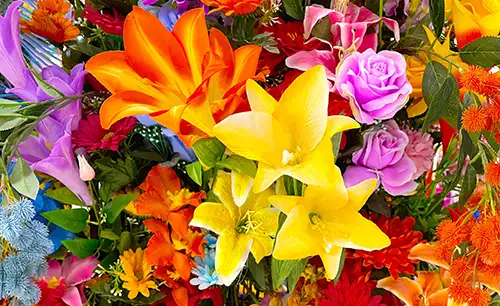 A colourful floral arrangement
